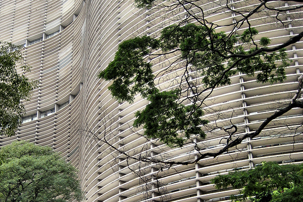 A fachada curvilínea do Edifício Copan, projetada por Oscar Niemeyer, com alguns galhos de árvores na frente