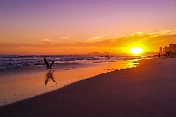 O pôr do sol na Praia do Pepê com uma gaivota voando baixo