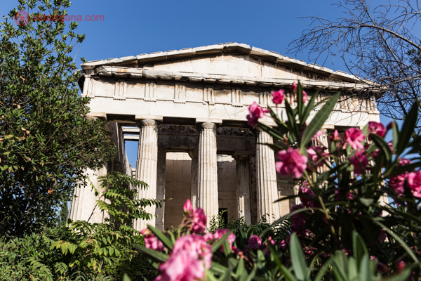 Uma ruína grega na Antiga Ágora de Atenas, com flores rosas em frente da fachada do templo