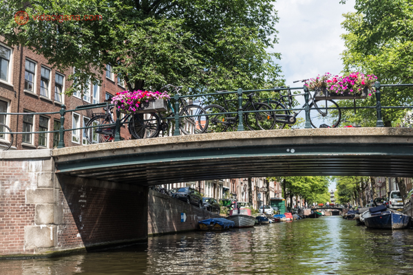 O que fazer em Jordaan, Amsterdam: Uma ponte vista da água, com várias bicicletas amaradas nela e flores rosas também