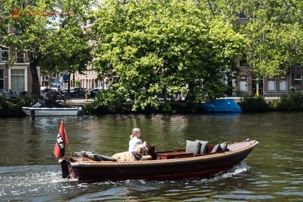 Melhores passeios de barco em Amsterdam: Uma mulher com um cão passeando de barco sozinhos pelos canais de Amsterdam