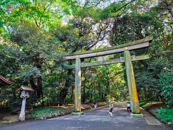 Foto do Ueno Park, um dos mais conhecidos de Tóquio. Se hospedar em seus arredores é uma boa opção.