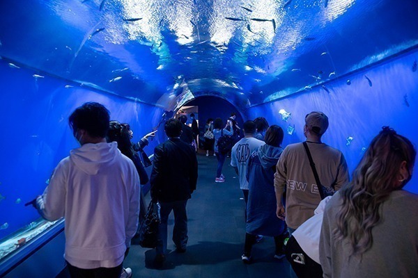 Uma visita ao Aquário de Osaka também é uma ótima atração, tanto para adultos quanto para quem está acompanhado por crianças.