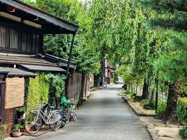 Uma rua cheia de árvores e bicicletas estacionadas em Takayama