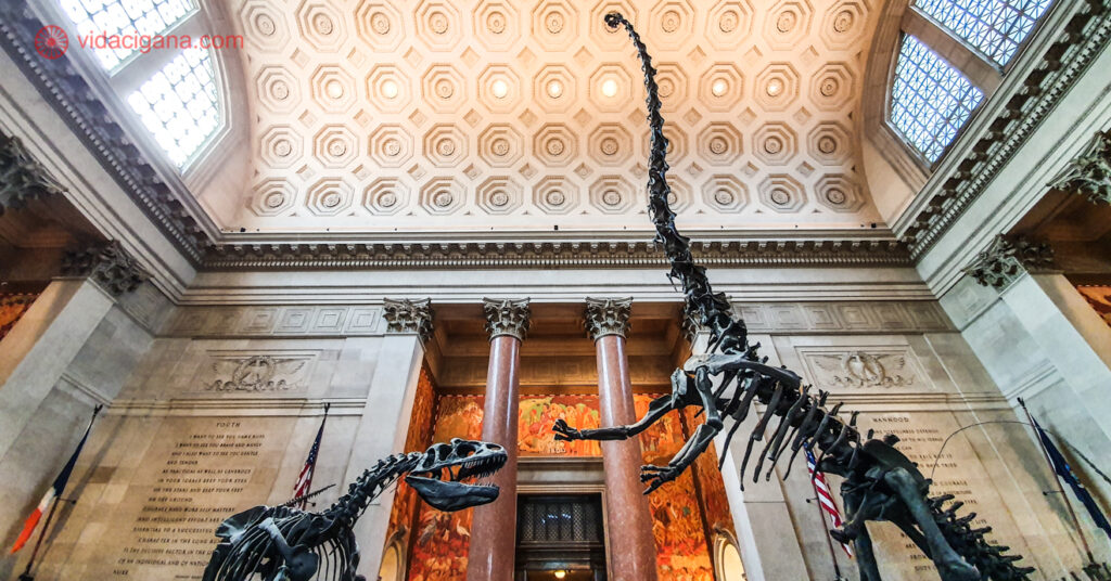 Esqueletos de dinossauros em exposição no American Museum of Natural History.