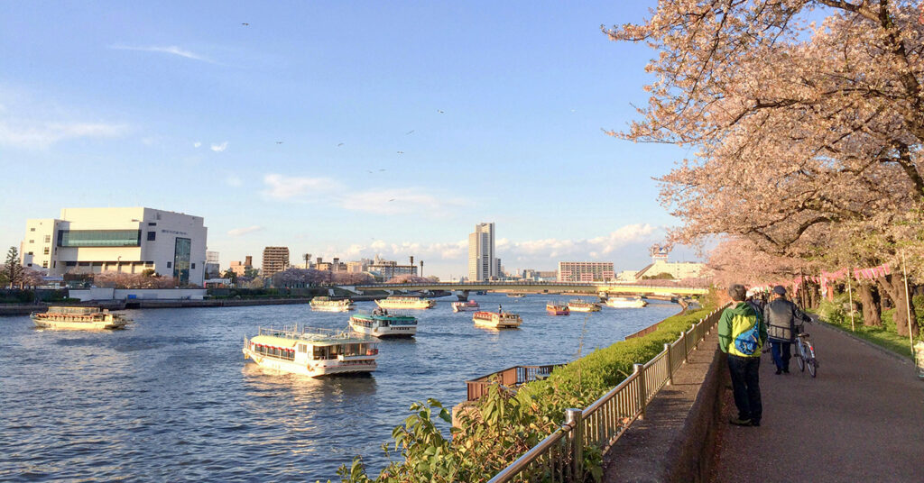 As margens do Rio Sumida cheio de barcos e com árvores sakuras do lado direito