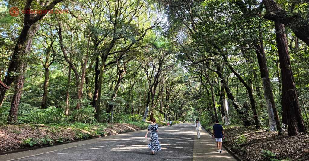 O Parque Yoyogi cheio de árvoe