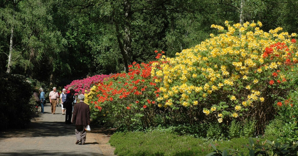 Pessoas caminham entre a vegetação e flores coloridas no Amstelpark. 