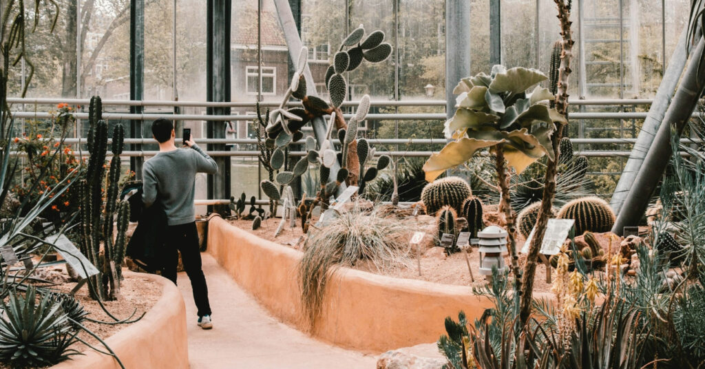 Foto do jardim de suculentas no Orto Botânico da cidade de Amsterdam, na Holanda. 