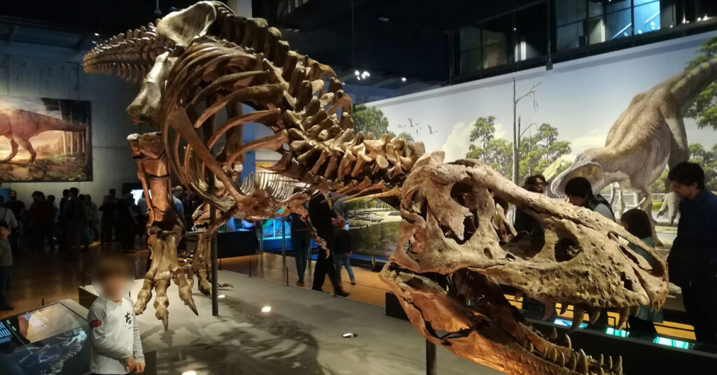 Ossada de dinossauro exposta no museu CosmoCaixa em Barcelona. 