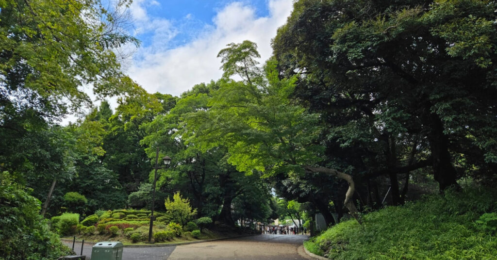 Vegetação no Parque Ueno, em Tóquio. 