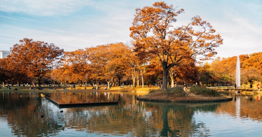 Lago e árvores com folhagem laranja em uma tarde de outono no Parque Yoyogi, em Tóquio, no Japão.