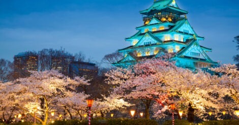 O Castelo de Osaka visto de longe, ao lado de edifícios modernos e grandes cerejeiras floradas.