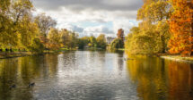 Lago que corta o Regent's Park, um dos parques em Londres de nossa lista, cercado por árvores de folhas alaranjadas pelo outono.