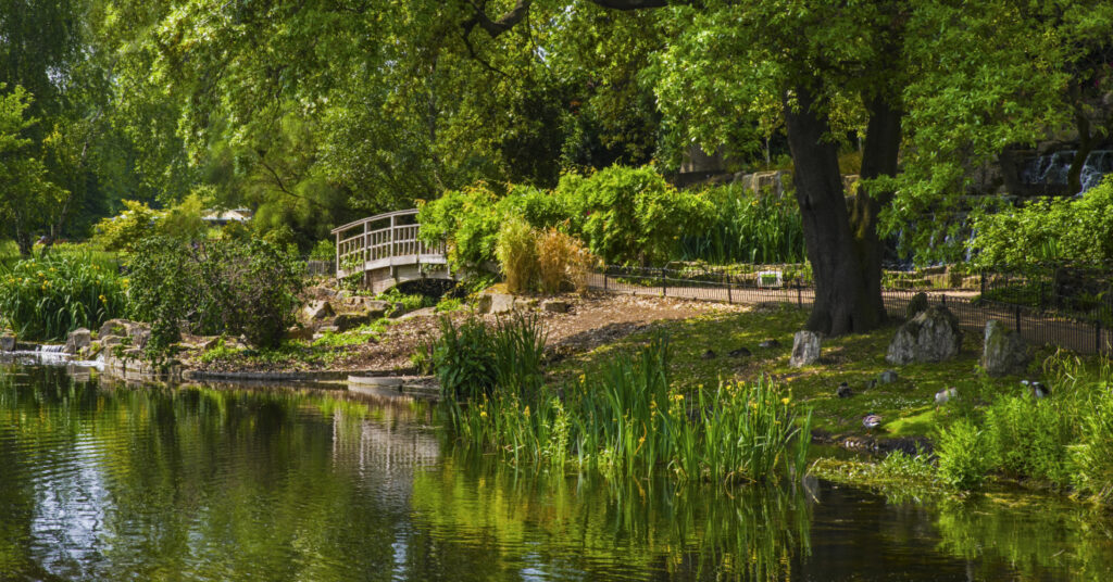 Pequena ponte em meio ao lago e à densa vegetação de um dos jardins do Regent's Park, em Londres. 